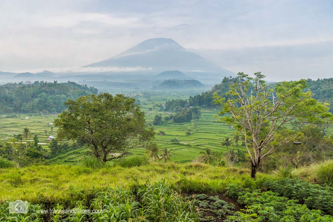 Reissterrassen Tirtagangga Ausblick von Bali Asli