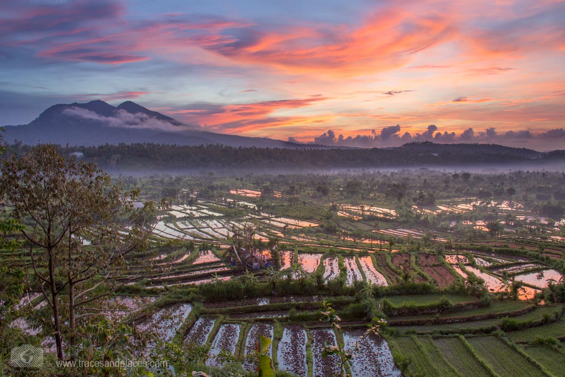 Bali - Ostbali - Tirtagangga - Reisfelder -Sonnenaufgang
