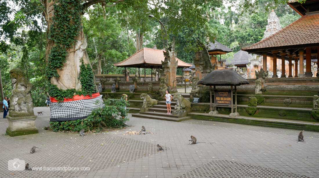 Affenfwald in Ubud mit Tempel